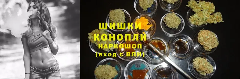 Конопля SATIVA & INDICA  купить наркотики сайты  Кузнецк 